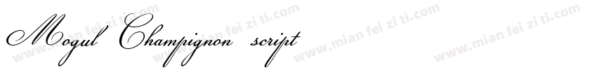 Mogul Champignon script字体转换